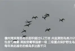 KQ╡裈{萠?羣勺簿o9-爱游戏体育